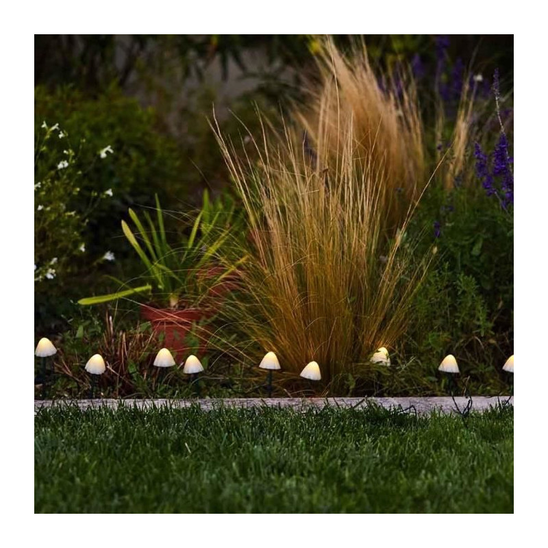 10 mini-champignons lumineux solaires a piquer - LUMISKY - CHAMPY - 3.8 m - Balisage allée - LED blanc chaud