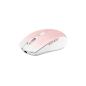 Souris Tnb GRADIENT Souris sans fil rechargeable DUAL CONNECT rose