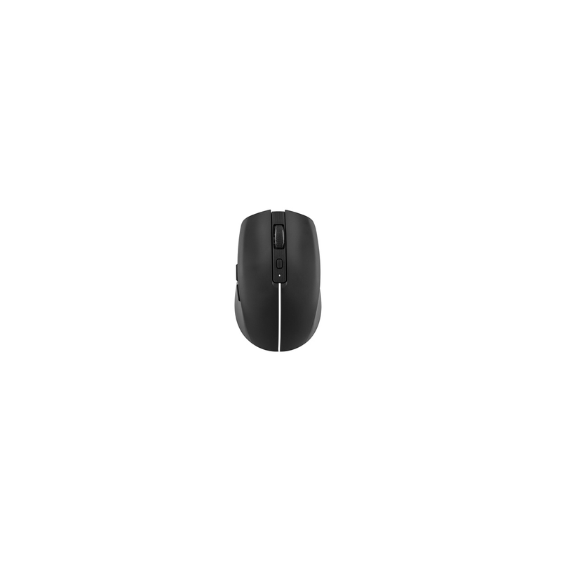 Souris Tnb GRADIENT Souris sans fil rechargeable DUAL CONNECT noir