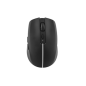 Souris Tnb GRADIENT Souris sans fil rechargeable DUAL CONNECT noir