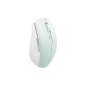 Souris Tnb GRADIENT Souris sans fil rechargeable DUAL CONNECT bleu