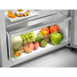 Réfrigérateur Combiné Pose-libre - REFRIGERATEUR 2 PORTES Pose-libre - ELECTROLUX - LTB1AE24W0