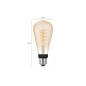 Ampoules connectées Philips Hue ampoule White Ambiance 7W Edison Giant Filament E27x1