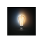 Ampoules connectées Philips Hue ampoule White Ambiance 7W Edison Giant Filament E27x1