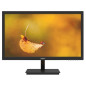 Ecran 22" DAHUA  Full HD 1920X1080 - format 16:9 - Eclairage ELED DAHUA - LM22L200