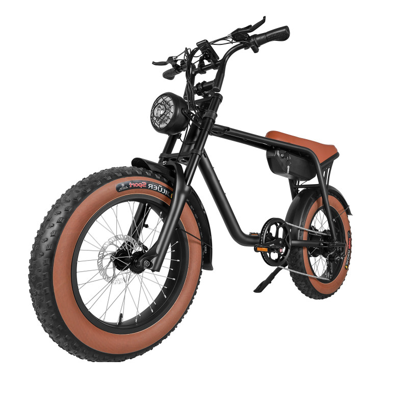 Vélo électrique SUNNY BROWN E3 tout terrain 20" - Noir