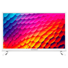 Schneider SERIE N100 | TV D-LED 2K Plongez dans un monde de divertissement immers SCHNEIDER - GMS24N100W