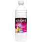 SOLVAPEINT NETTOYANT PEINTURE 1L. ONYX - C21050106