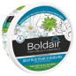 BOLDAIR GEL DEST.ODEUR 300G THE VERT BOLDAIR - 56013101