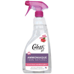 GLOSS GLOSS GEL AMMONIAQUE NATURE FRAM.750ML GLOSS - PV83546201