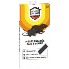 HOME DEFENSE PIEGES RATS SOURIS ENGLUES X2 HOME DEFENSE - HDGLUR