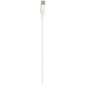 Cordon USB 2.0 - C M/M - 3A - blanc - 1 m ERARD - 722703