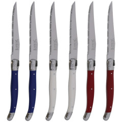 JEAN DUBOST LAGUIOLE BLOC 6 COUTEAUX BLEU BLANC ROUGE JEAN DUBOST - L0060011PAR367