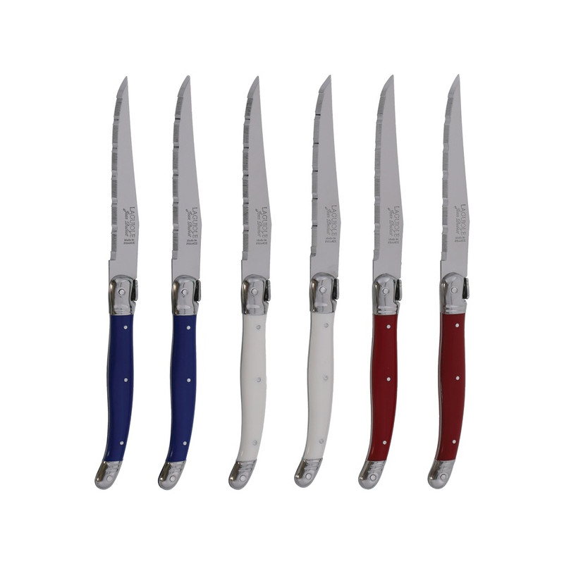 LAGUIOLE BLOC 6 COUTEAUX BLEU BLANC ROUGE JEAN DUBOST - L0060011PAR367