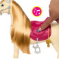 Barbie – Barbie Mysteries : The Great Horse Chase Barbie et son cheval HXJ42