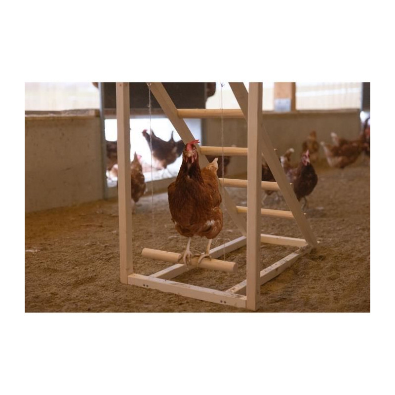 Tour d'escalade pour poules - KERBL - 85 x 55 x 76 cm - Avec balançoire - Echelle robuste