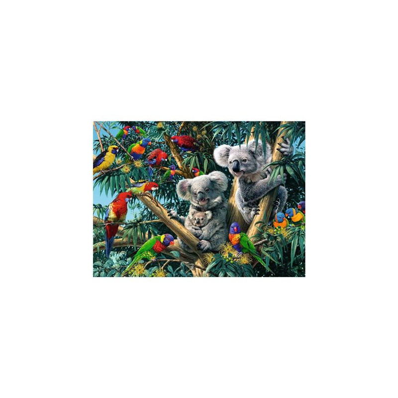 Puzzle 500 pièces Ravensburger Koalas dans l arbre