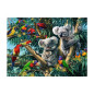 Puzzle 500 pièces Ravensburger Koalas dans l arbre