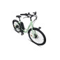 Vélo électrique Carratt City NEO E 5000 24301