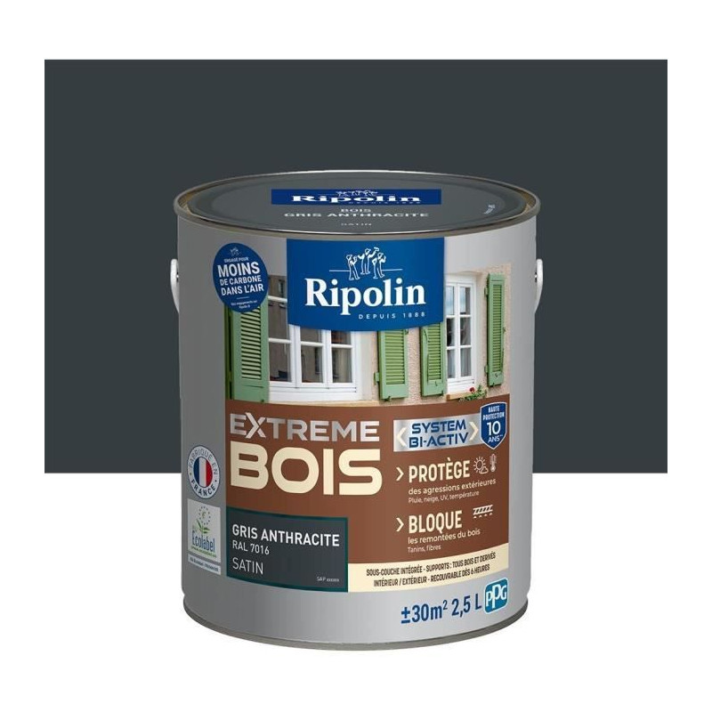 RIPOLIN PROTECTION EXTREME BOIS GRIS ANTHRACITE RAL70 Satin 2,5 L