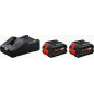 Pack de 2 batteries ProCORE18V 8.0Ah + chargeur GAL 18V 160 BOSCH 1600A02X03