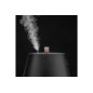 Humidificateur Duux Humidificateur d air à ultrasons TAG 2 NOIR DXHU14