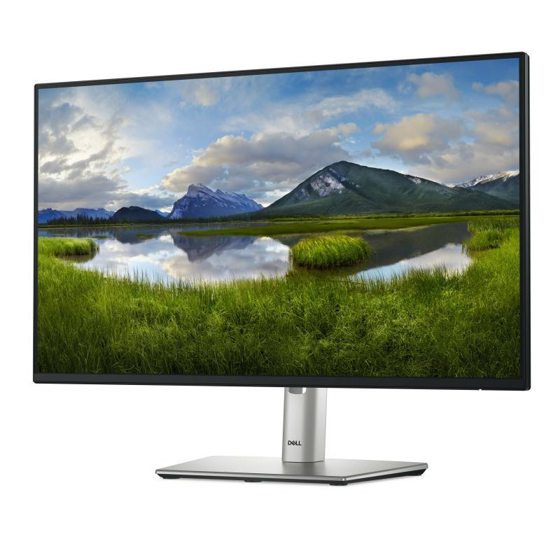 DELL Monitor P2425HE (DELL-P2425HE)