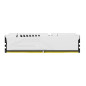 Kingston Technology FURY Beast 32 Go 5200 MT s DDR5 CL40 DIMM (Kits de 2) White XMP