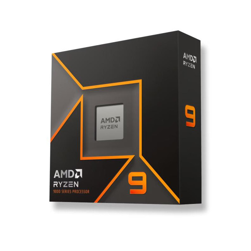 AMD Ryzen 9 9900X