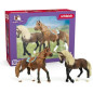 Mes Premiers chevaux Paso Péruvien, Figurines 2 chevaux, SCHLEICH 42738 Horse Club, des 5 ans