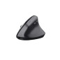 Souris Trust BAYO + Souris ergonomique sans fil multi appareils via récepteur USB et 2x Bluetooth