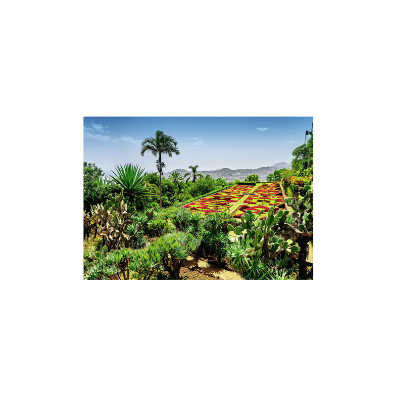 Ravensburger - Jigsaw puzzle Botanical Garden, Madeira, 1000 pcs. 12000853 8