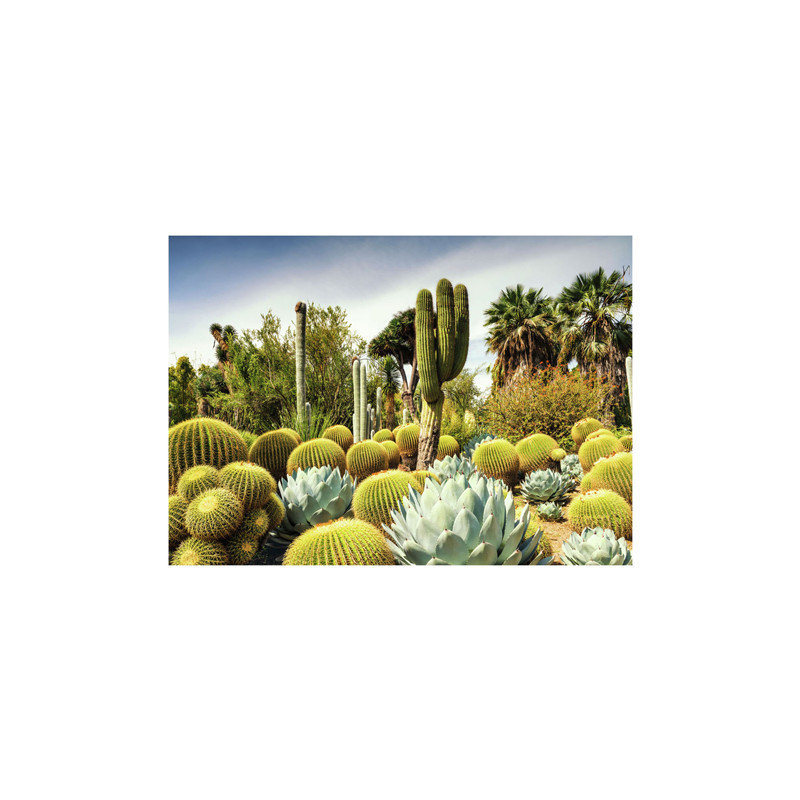 Ravensburger - Jigsaw puzzle Huntington Desert Garden, 1000 pcs. 12000850 7