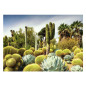 Ravensburger - Jigsaw puzzle Huntington Desert Garden, 1000 pcs. 12000850 7