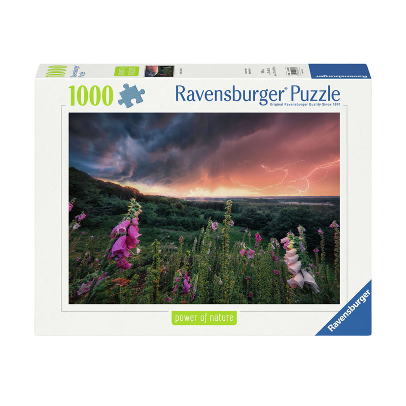 Ravensburger - Jigsaw puzzle Ein Sturm Zieht Auf, 1000pcs. 12000793 7