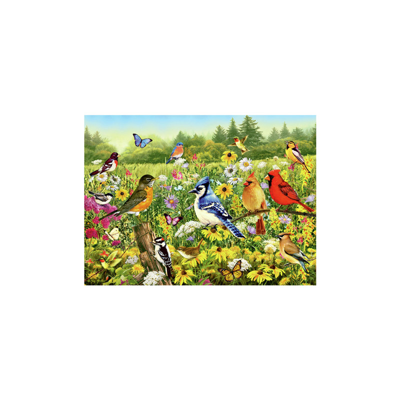 Ravensburger - Jigsaw puzzle Birds in the Meadow, 1000 pcs. 120003366