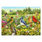 Ravensburger - Jigsaw puzzle Birds in the Meadow, 1000 pcs. 120003366