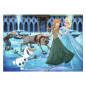 Ravensburger - Jigsaw puzzle Disney Frozen, 1000 pcs. 120000921