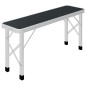 Table de camping pliable avec 2 bancs Aluminium Gris