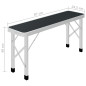 Table de camping pliable avec 2 bancs Aluminium Gris