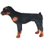 Jouet en peluche Chien de race Rottweiler Marron et noir XXL