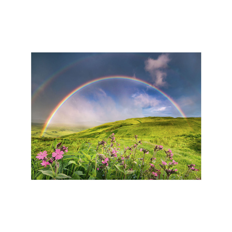 Ravensburger - Jigsaw puzzle Spectacular Rainbows, 1500 pcs. 12000800 2