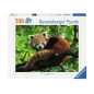 Ravensburger - Jigsaw Puzzle Cute Red Panda, 500pcs. 120003694