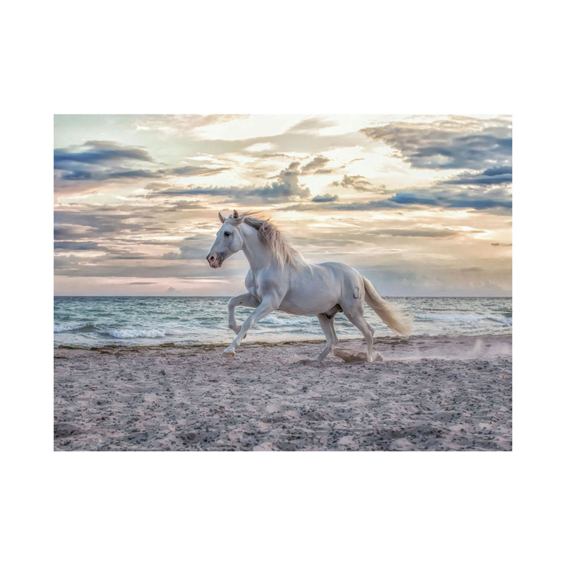 Ravensburger - Jigsaw Puzzle Horse on the Beach, 500pcs. 120002222