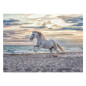 Ravensburger - Jigsaw Puzzle Horse on the Beach, 500pcs. 120002222