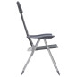 Chaise de camping lot de 2 Gris 58x69x111 cm Aluminium