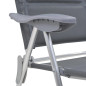 Chaise de camping lot de 2 Gris 58x69x111 cm Aluminium