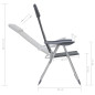 Chaise de camping lot de 2 Gris 58x69x111 cm Aluminium