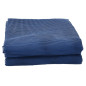 Tapis de sol de camping bleu 5x3 m