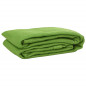 Tapis de tente vert clair 250x550 cm PEHD